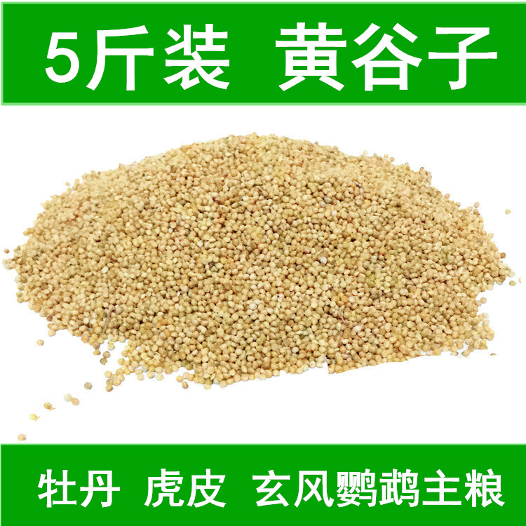 New Yellow Valley Sub with shell millet tiger leather peony root for small and medium-sized parrot bird food and bird feed 5 kilos