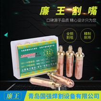 Factory direct sales g01-30 type jet suction cutting gun nozzle stainless steel sleeve propane cutting nozzle durable acetylene welding and cutting