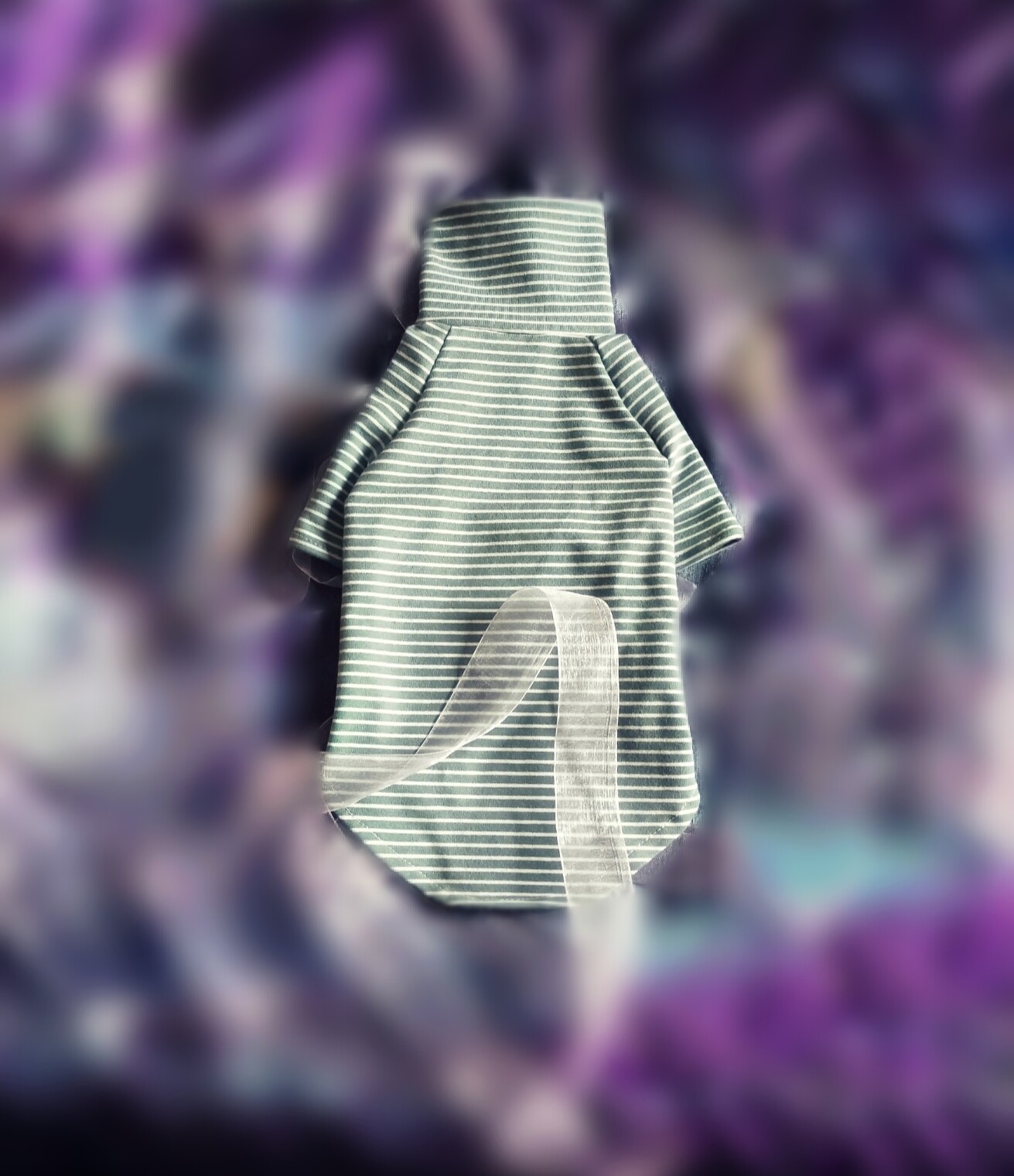 Hairy cat clothes Sfinks custom Devin spring summer autumn New ppet dog High collar elastic baby cotton stride