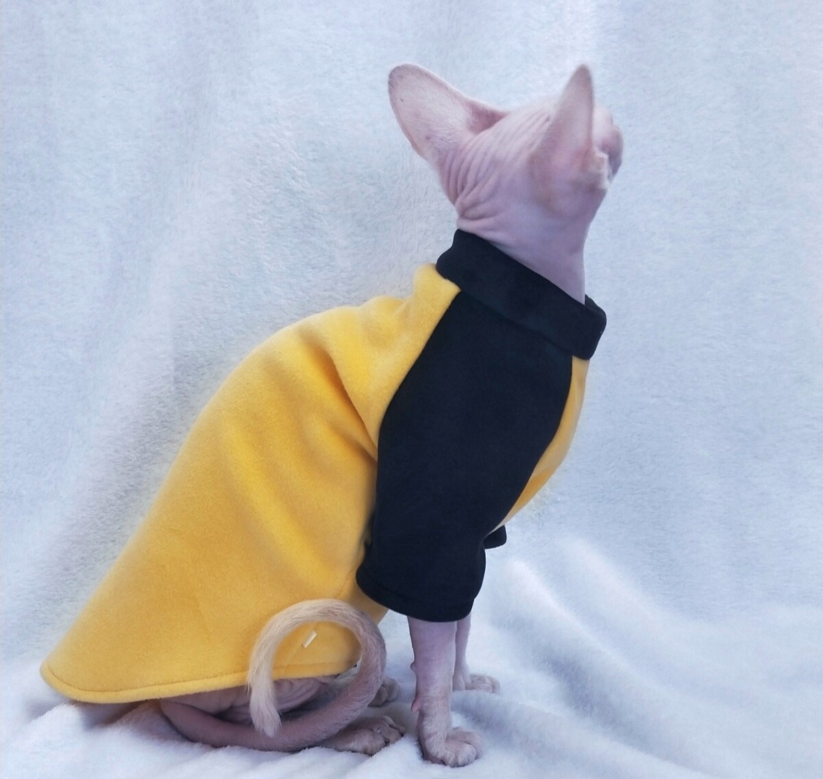 Spinx Cat Clothes German Pet Dog Autumn Winter New Products Thickened Heating and Heating Double-sided Ultra-soft Dirty