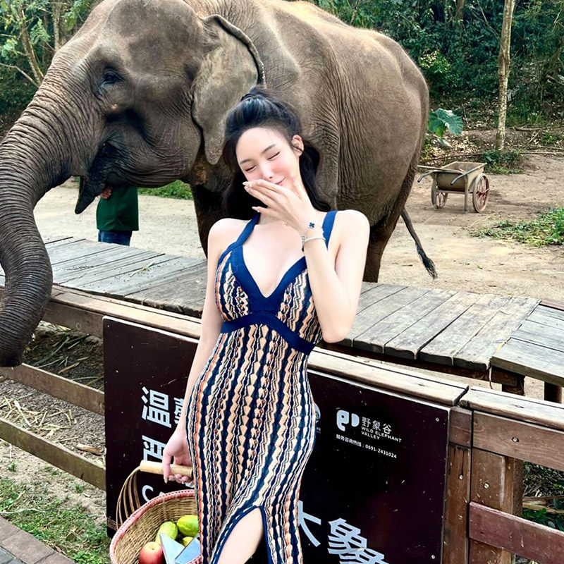 Legal Light Cooked Unique Collision Color Open Fork Bag Arm Skirt Summer Light Lavish Design Sensation Knit Long Skirt Tide