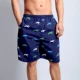 Quần đi biển quần nam nhanh khô năm điểm quần short cặp quần đi biển kỳ nghỉ võ sĩ lỏng lẻo cỡ lớn quần lớn quần nam