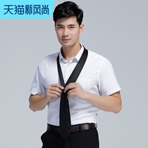 Traditional summer short-sleeved shirt mens business formal free ironing anti-wrinkle short-sleeved shirt Youth professional slim-fit mens shirt