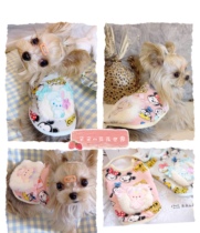 J Autumn Winter Pet Dog Clothes Small Dogs Cat Kitty Dibo Mejok Summer Small Magma Waistcoat Waistcoat Vest
