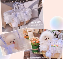 New pet bag kitty Puppy teddy Yorkshire Little Horse out for a lace net red portable handheld basket