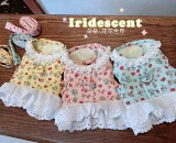 SPOT JR PET TEDDY YORKSHAM PONY STAL DOG ​​-СТИЛА -Лучшая веревка TOTOR BACK BACK