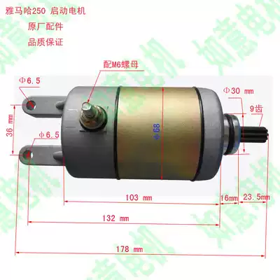 Yamaha 250 starter motor Majeste 250 LH250 Linhai 250 ATV ATV300 Motor