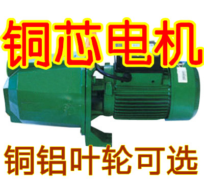 Copper impeller JET-100 750W jet pump Jet pump self-priming water pump Centrifugal pump water pump