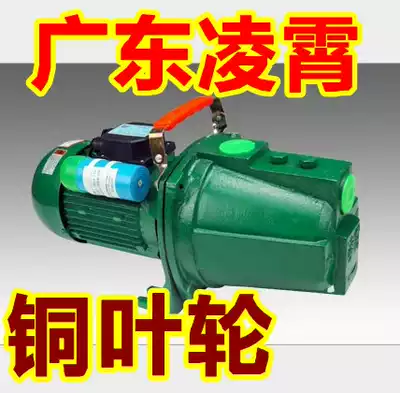 Guangdong Lingxiao JET-100 self-priming clean water pump JET-150 household self-priming pump pump pumping machine