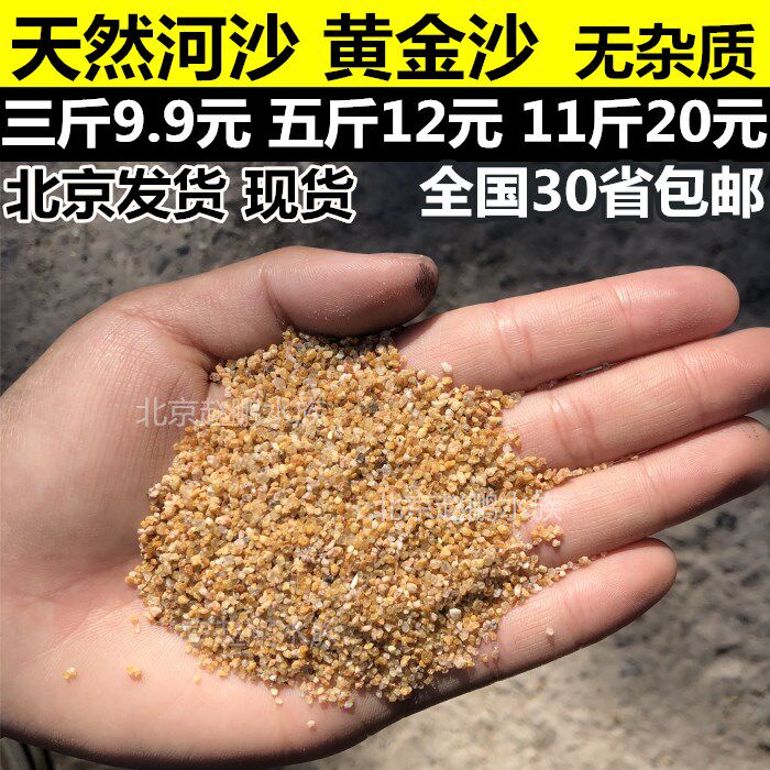 Natural river sand sand sand sand sand sand tank bottom sand turtle hibernate yellow sand soil aquarium