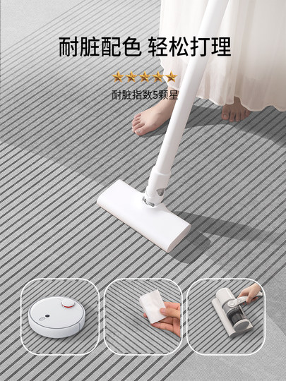 Carpet for Living Room 2026 New Model, Washable and Wipeable, Light Luxury, High-End Feel, Modern and Simple, Home Sofa Floor Mat, Coffee Table Rug