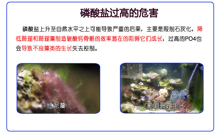 Фильтровальный материал 德国rowa吸磷珠去磷酸盐po4吸附剂除磷剂珊瑚鱼缸红泥菌膜除藻剂
