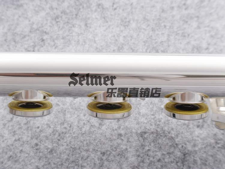 Salma 103b / 17 lỗ mở / đóng c điều chỉnh sáo cụ chuyên nghiệp - Nhạc cụ phương Tây đàn guitar ba đờn