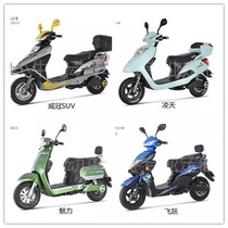 Luyuan Electric Vehicle Sunscreen Cushion Cover Weiguan SUV Lingtian Charm Leaps Anti-UV Cushion Cover