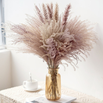 Natural Reed dry bouquet dust real flower ins Wind home decoration living room bedroom flower eternal bouquet