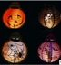 Halloween Pumpkin Đèn Đạo cụ Trang trí Lễ hội ma Halloween Nguồn cung cấp Pumpkin Paper Lanterns Bóng đèn LED - Sản phẩm Đảng / Magic / Hiệu suất