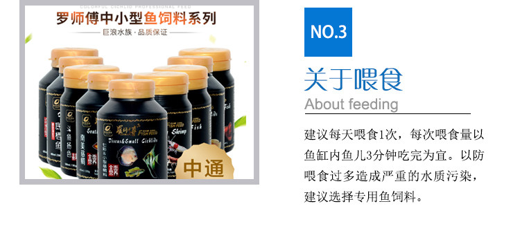 一眉道人黑影道人群游观赏鱼热带鱼草缸之王好养易活包损包邮 虎窝淘