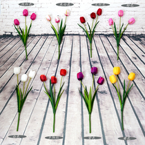 5 emulated Dutch flowers 3 Tulip Tulips Photo Shoots Props For The Swing Beat Props Photography Background Flowers