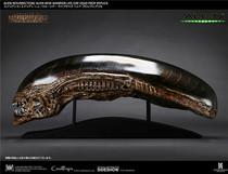 (sold) CoolProps x Sideshow 903158 New profiled fighters head 1 1