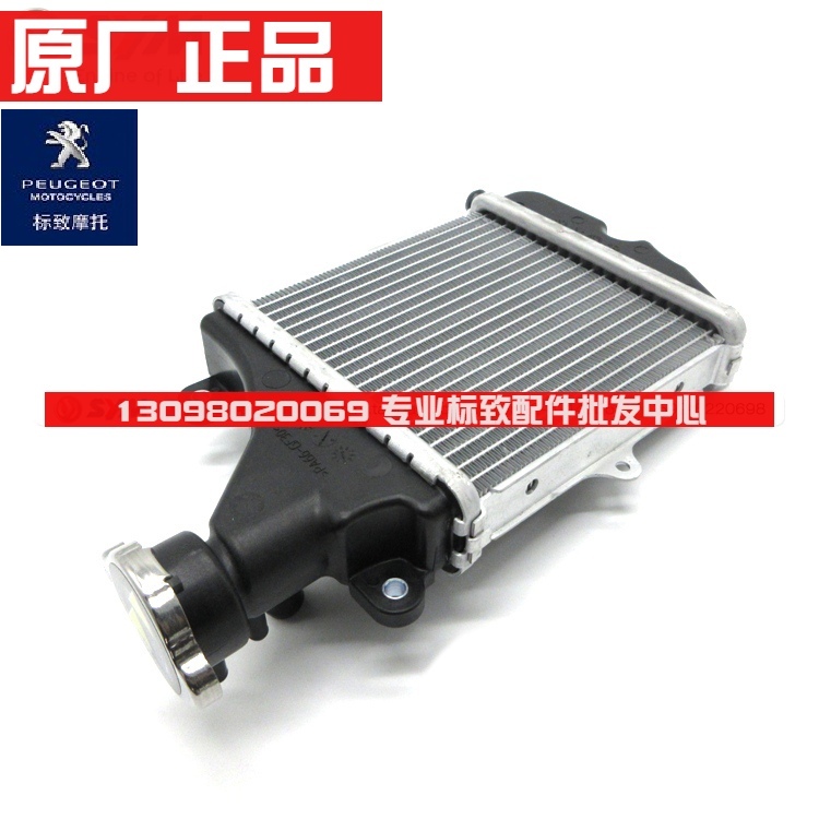 Suitable for Peugeot Scooter Qp125T-12-150T-G Speed War Four Sf4 Water Tank Assembly Radiator