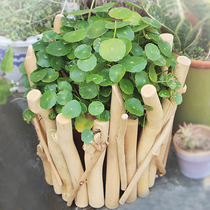 Fleshy tree root flowerpot handmade wooden home potted landscape ornaments solid wood flower creative branch Basin