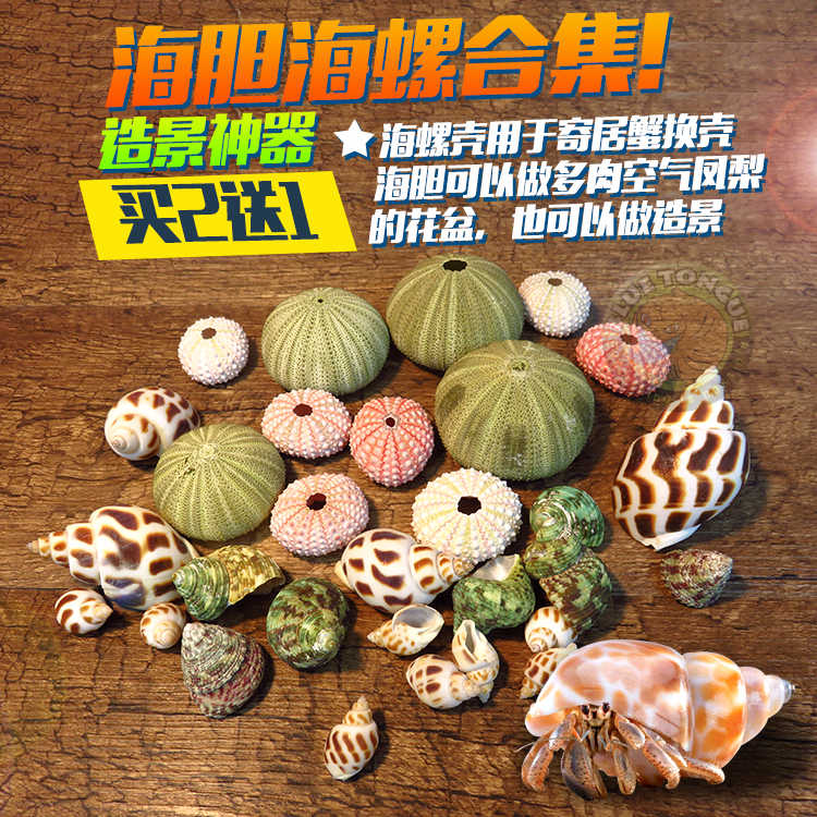 盆栽 置物 添配 飾 蟹 招財螃蟹｜優惠推薦- 蝦皮購物- 2025年10