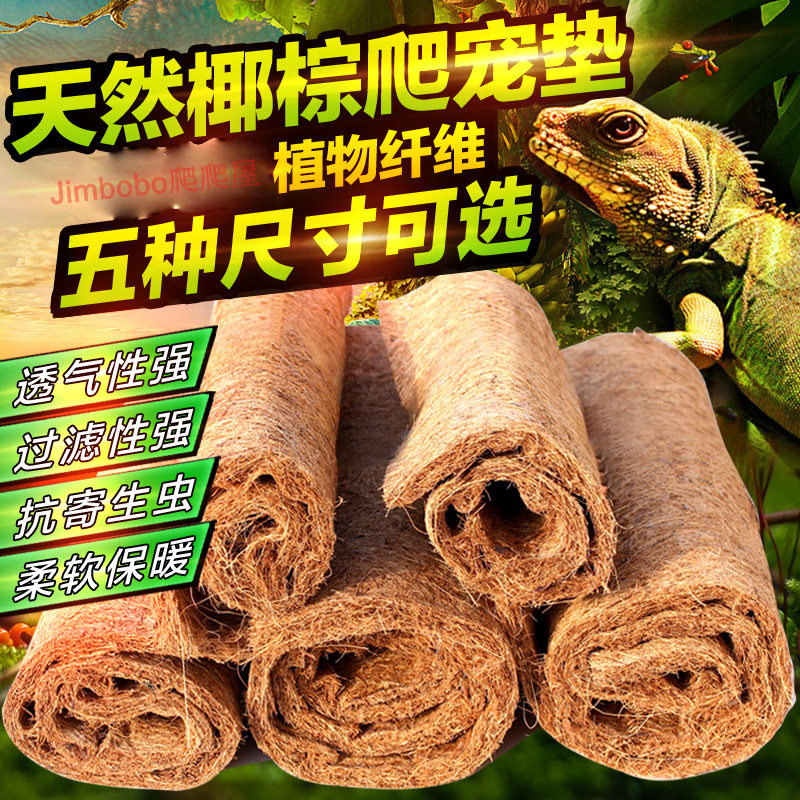 Reptile tortoise breeding box wooden box high box green iguana discoloration bottom mane lion lizard pet coconut palm mat mat leopard turtle mat