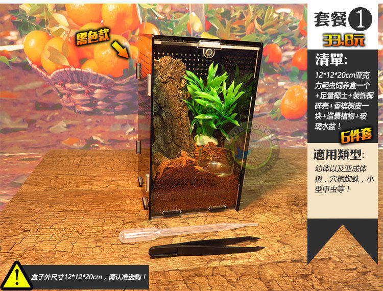 High transparent acrylic rearing case High feeding case tree shelter spider Pet Spider Spider Horn Tree Frog 12 * 12 * 20