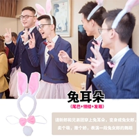 Флуоресцентный кролик, аксессуар