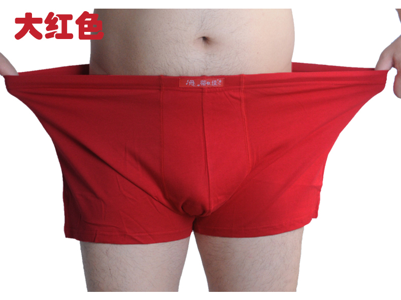 Quần lót cotton cotton cỡ lớn có kích thước lớn quan sip nam