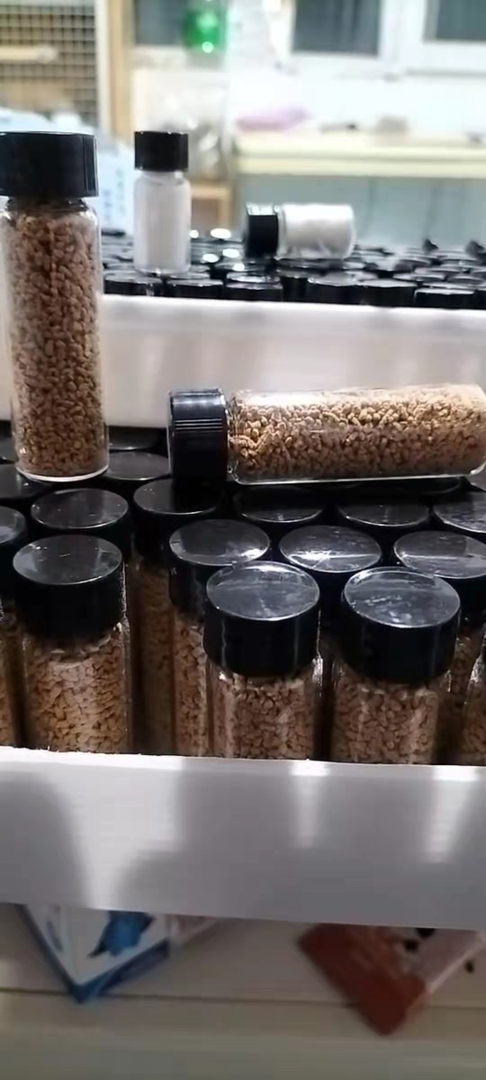 Squirrel rat respiratory tract infection Golden bear hamster cold guinea pig pneumonia nose secretions shortness of breath