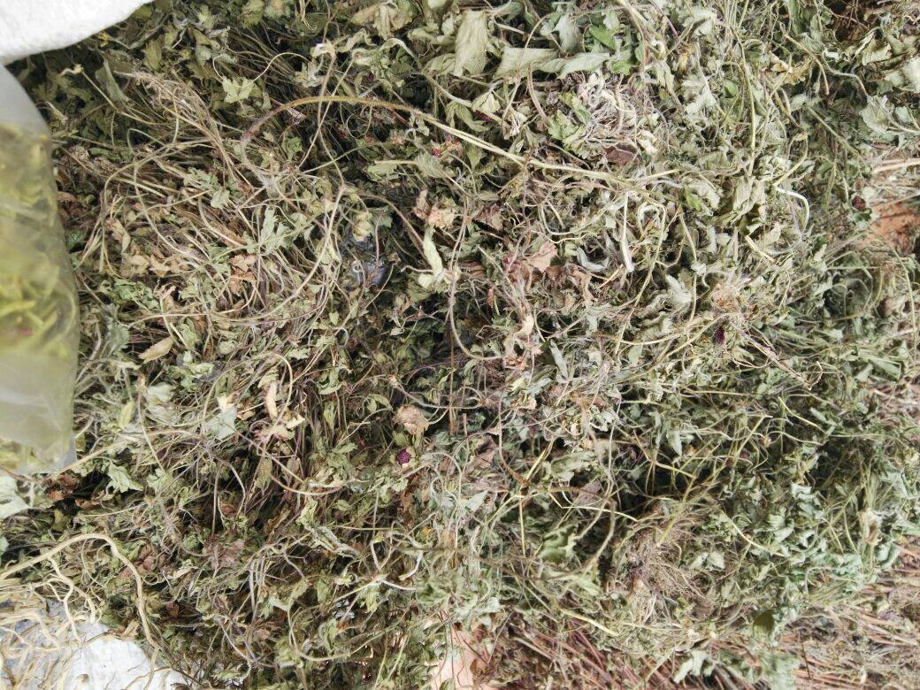 Pure wild Chinese herbal medicine Snake berry Snake bubble grass Snake plate grass Snake fruit grass Wild Bayberry dried berries