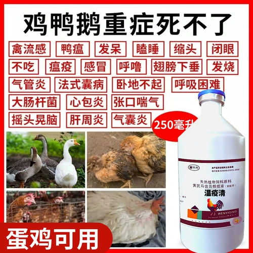 Чума прозрачная курица питательная курица вакцина Специальная утиная гусь защитная птица Список птицы Kedo Star популярность холодного зверя