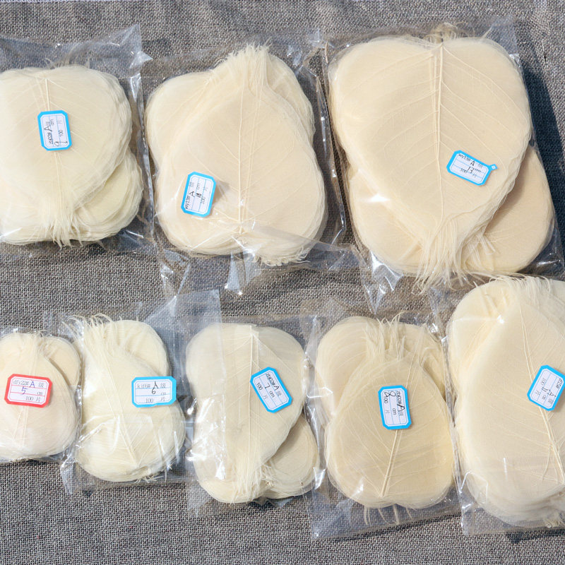 Natural Bodhi leaf vein craft sticker leaf material Calligraphy and painting leaves Bodhi leaf specimen bookmark flower painting