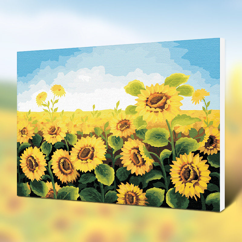 �Ѳ�����diy����װ�λ����տ���