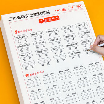 Primary school chinese dictation paper to read pinyin and write words