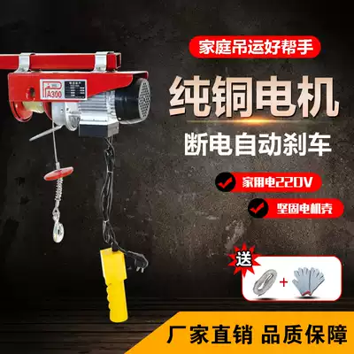 Human miniature electric crane 220V household small crane 1 ton decoration hoist crane hoist Crane