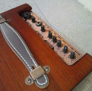 Li Sheng LSM FreeMan100 âm thanh gốc dân gian cao cấp âm thanh guitar loa nhạc cụ âm thanh loa loa xách tay