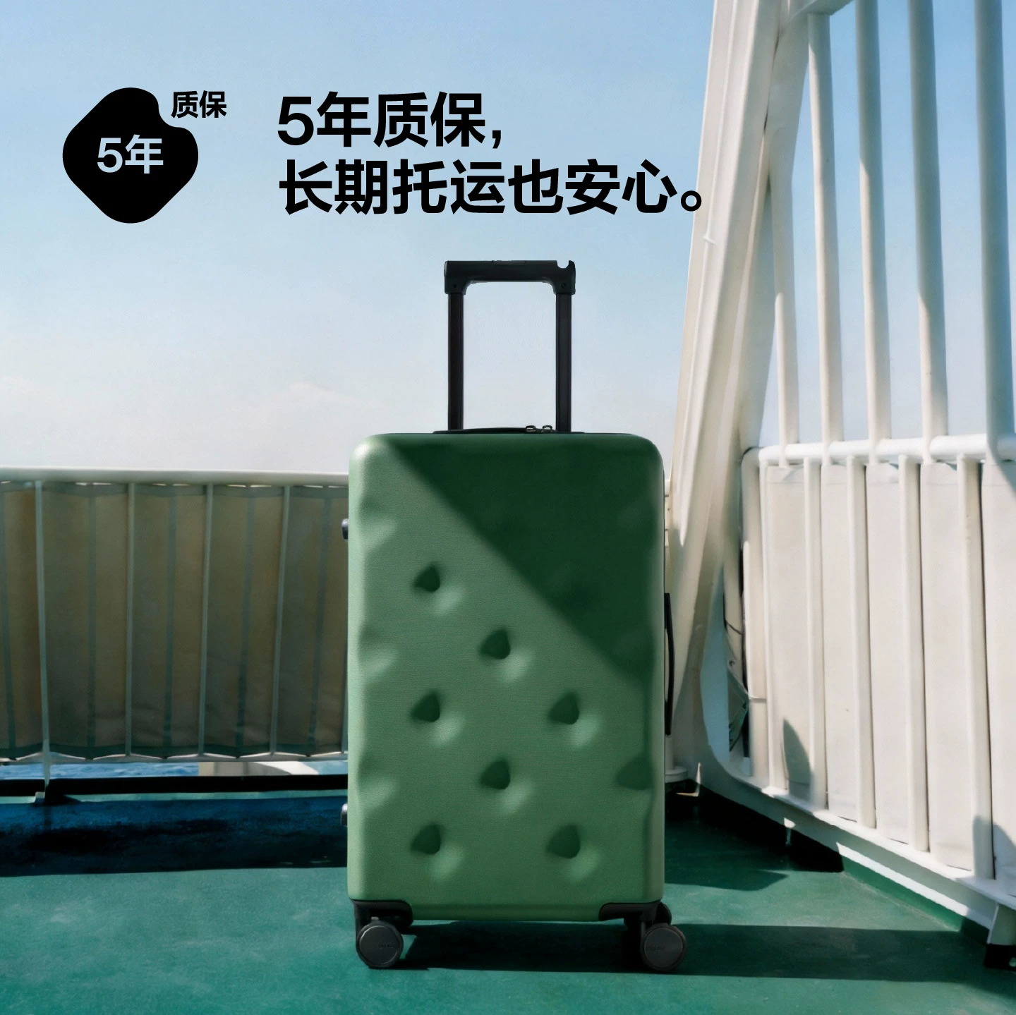 Capacious suitcase for traveling, 20 inch
