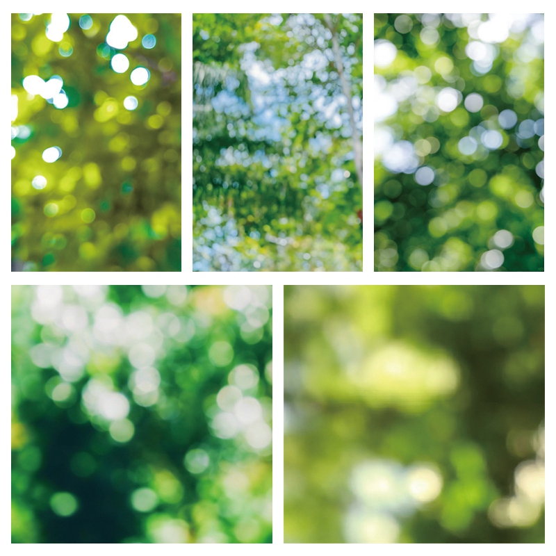 Green Forest Light and Shadow Blurred Spot Background Cloth, Girl's Fresh and Natural Blurred Tree Shadow Portrait Photo Cloth Green Forest Light and Shadow Blurred Spot Background Cloth, Girl's Fresh and Natural Blurred Tree Shadow Portrait Photo Cloth