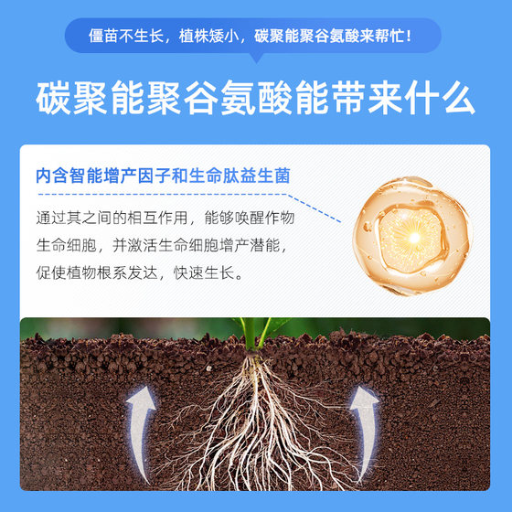 Dr. Hua Cao's highly concentrated nutrient solution universal plant money tree green dill rich bamboo flower pot fertilizer