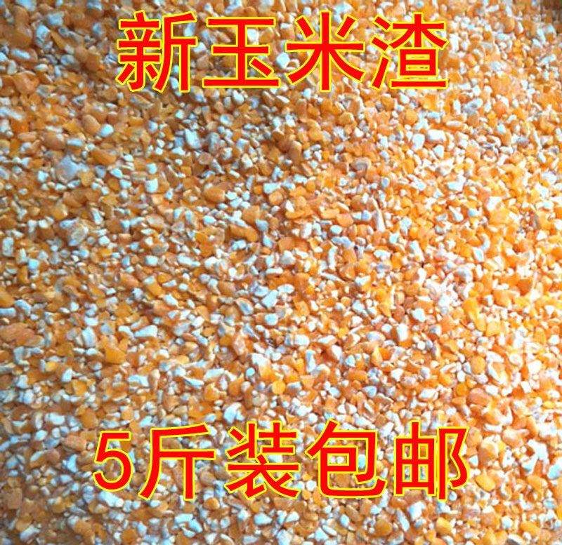 Farmhouse self-production of new corn slug corn Corn Slug Corn Large Ballast rice Crushed Grain Corn Kernel 5 catty 
