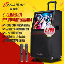 17 inch screen stereo bluetooth speaker MY-172 Bluetooth speaker