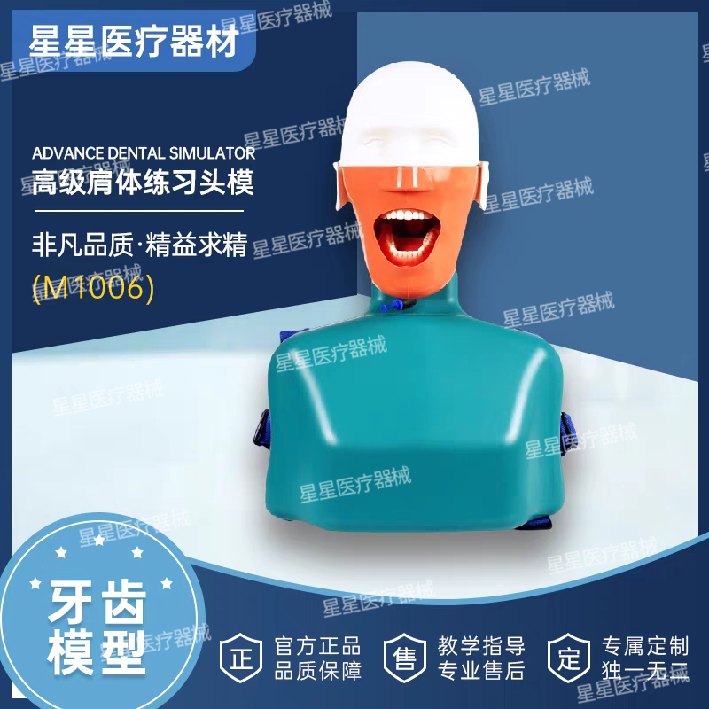牙科仿真高级肩体头模树脂可拆卸牙齿备牙正畸修复口腔教学模型