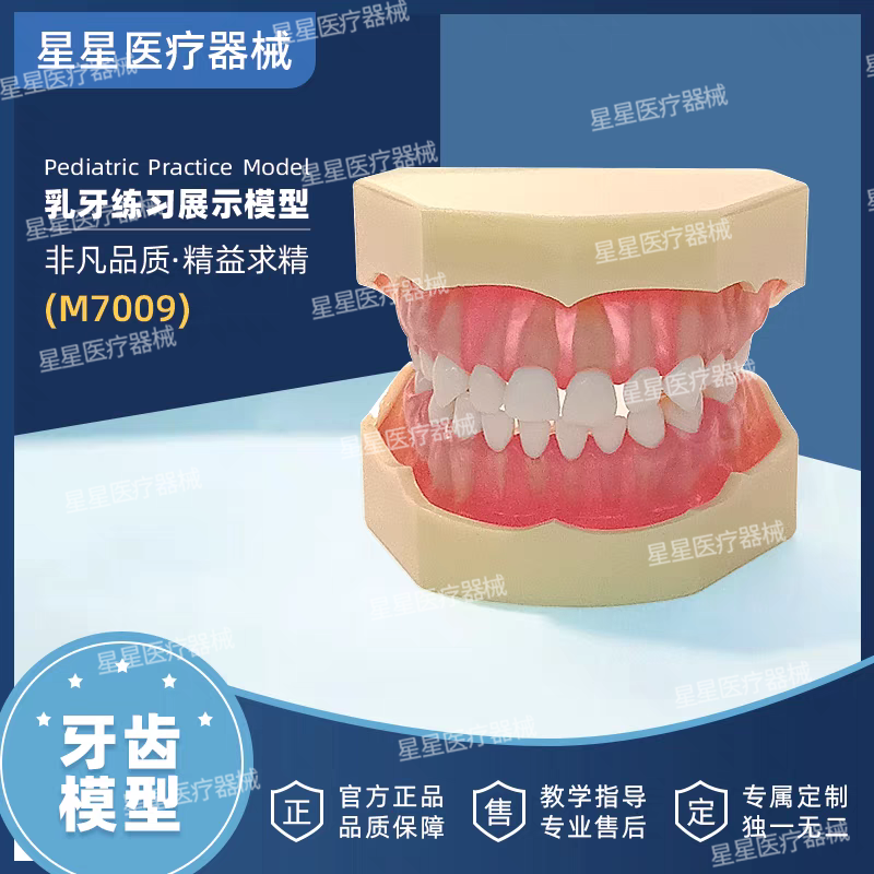 牙齿乳牙标准模型全口可拆卸树脂口腔牙科医生教学模具仿真模拟
