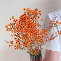 Оранжевый зимний. 1 Банч отправлен