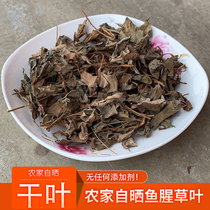  Guizhou farmhouse fresh self-drying Houttuynia tea 500g wild Houttuynia dried folded ears root leaves make tea and drink water