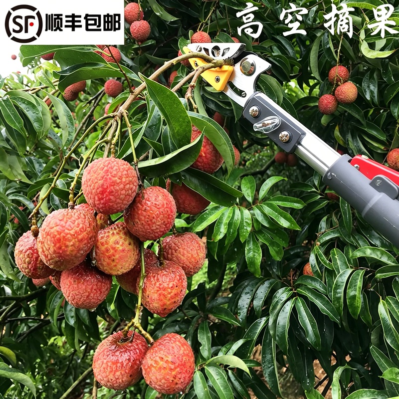 Fruit-Picking Tool, High-Branch Scissors, Telescopic Fruit-Picking Scissors, High-Altitude Lychee Picker, Longan Picker