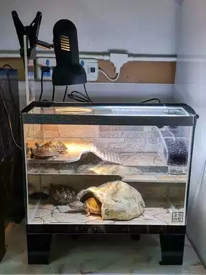 Fish tank glass turtle tank with sun table drainage water turtle seedling tank Amphibious tank 40 long back filter tank Turtle villa