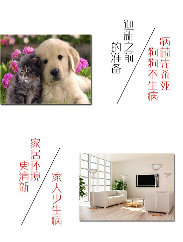 Pet chó khử trùng nước Meibei Wei Kang chất khử trùng chó đờm tốt để nước tiểu có mùi mèo và chất khử mùi chó làm sạch khử trùng - Cat / Dog Beauty & Cleaning Supplies